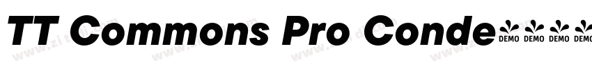 TT Commons Pro Conde字体转换
